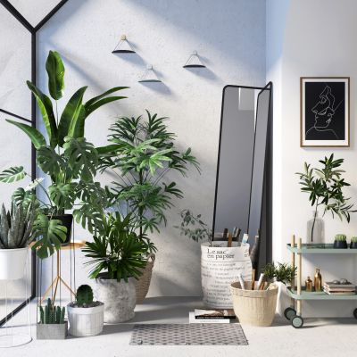 北欧绿植盆栽植物组合