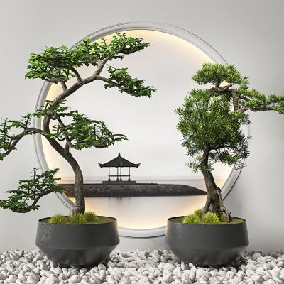 新中式松树盆栽