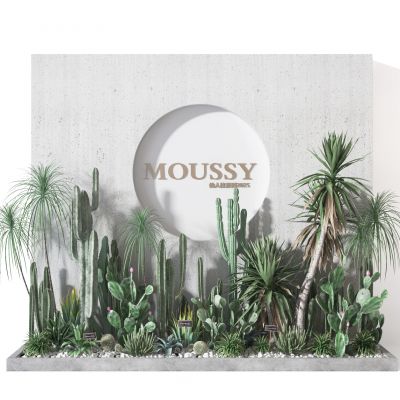 仙人掌  植物墙