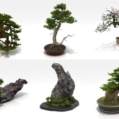 中式盆栽 中式盆栽 小盆栽