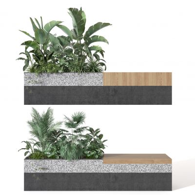 户外 植物 花草