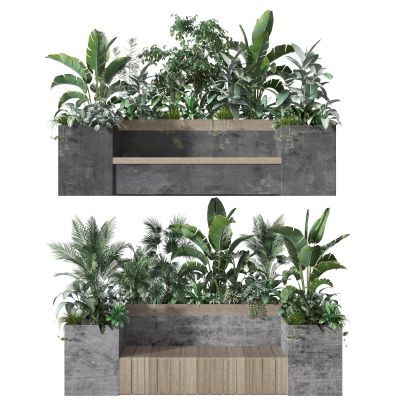 植物  盆栽  装饰