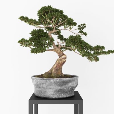 新中式松树摆件  松树装饰品