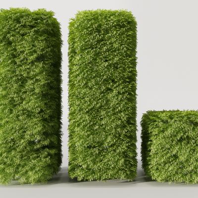 现代景观园林植物树灌木