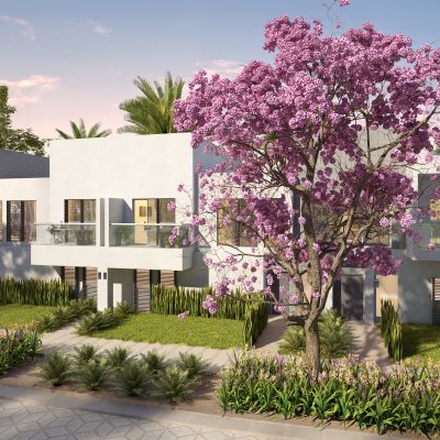 现代别墅植物树配景