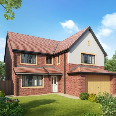 美式乡村别墅花草花花丛池植物树配景