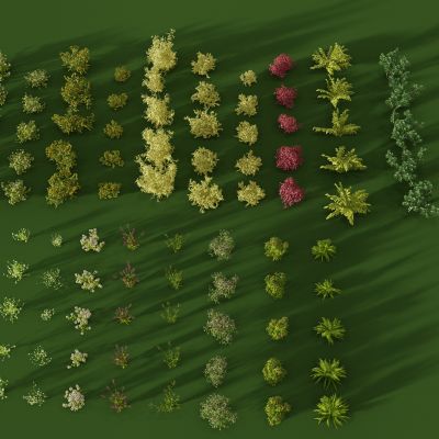 现代园林景观植物灌木花草丛