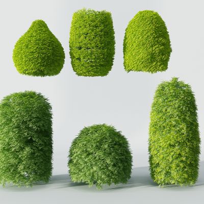 现代景观园林植物树灌木