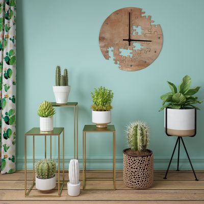 现代仙人掌多肉绿植盆栽阳台植物花架绿植