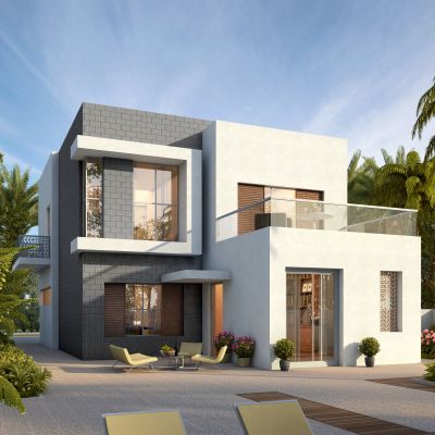 现代植物树景观配景热带植物