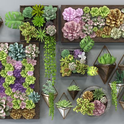 现代多肉画框绿植墙吊篮吊装植物花墙