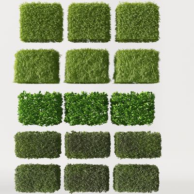 现代园林植物墙灌木树墙