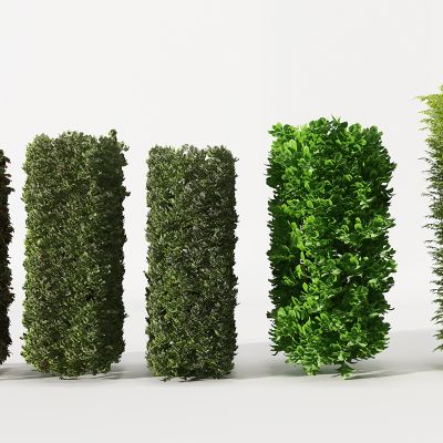 现代园林植物墙灌木树墙