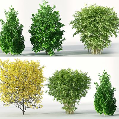 现代景观园林植物树矮树