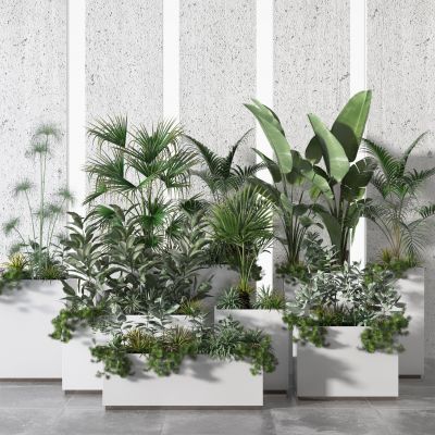 植物  盆栽  摆件