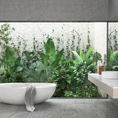 庭院  植物  景观