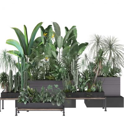 植物架  庭院  装饰