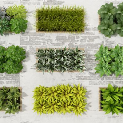 现代植物墙绿植墙