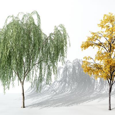 现代景观植物树