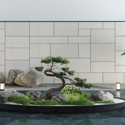 新中式庭院松树石头