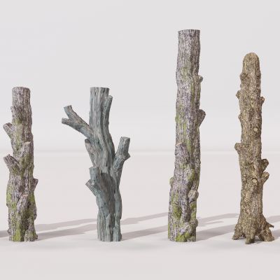 现代树桩树枝树干枯树