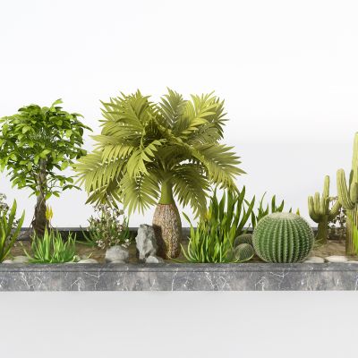 现代园林植物花池仙人掌球小品