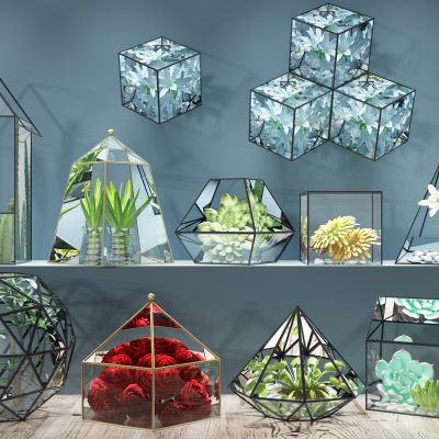 现代微景观生态瓶