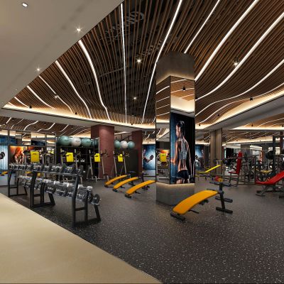 现代健身房自由力量区