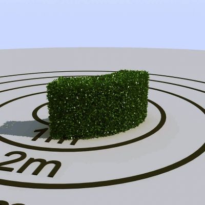 现代景观植物绿植墙植物墙树墙黄杨灌木