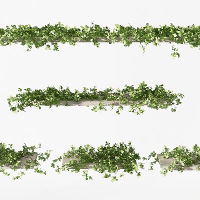 现代藤蔓花槽吊装植物