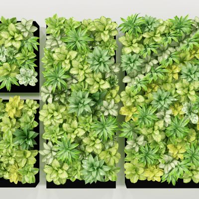 现代植物墙