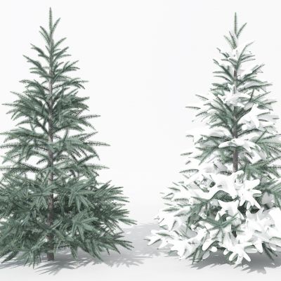 现代景观植物树