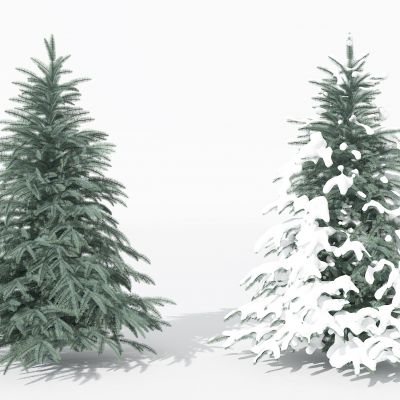 现代景观植物树