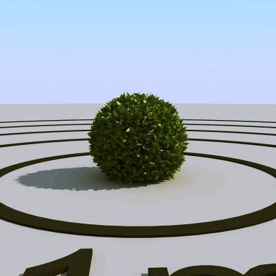 现代灌木植物球绿植