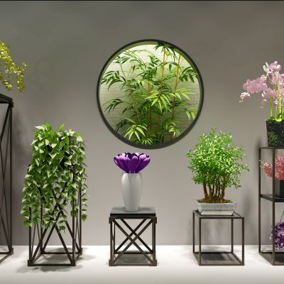 新中式植物花架花卉竹子多肉植物组合