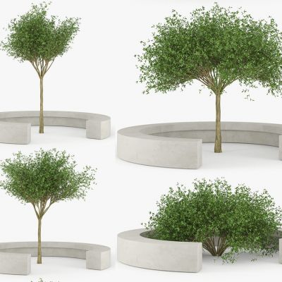 现代景观树