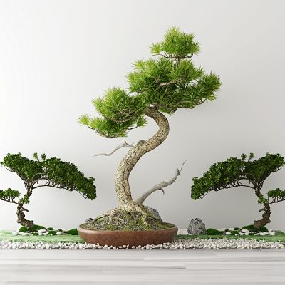 中式盆栽绿植盆景