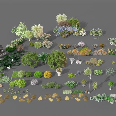 现代景观植物树