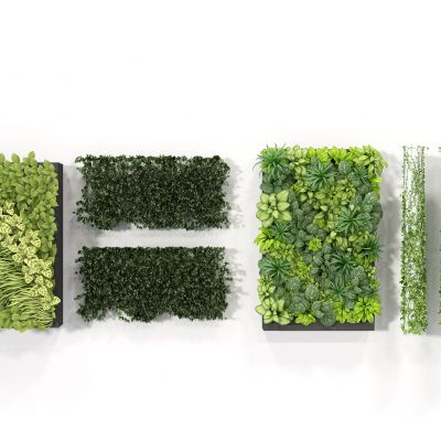 现代植物墙