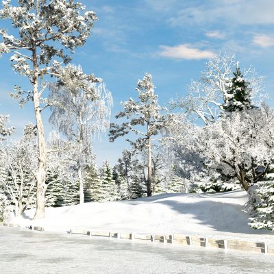 现代树林雪景树