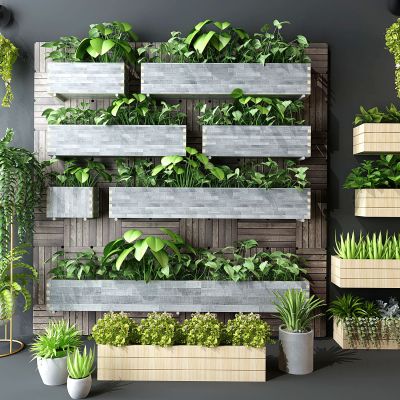 现代阳台户外绿植