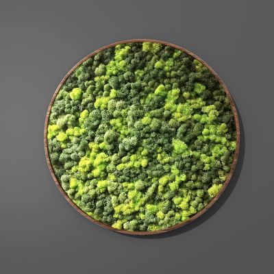 现代绿植墙植物墙