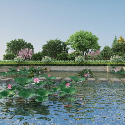 现代滨水景观，荷花池，绿化带，小湖，荷叶，荷花，绿植，树木，植物堆，室外景观石