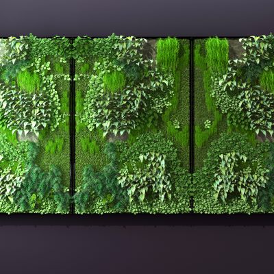 现代植物墙