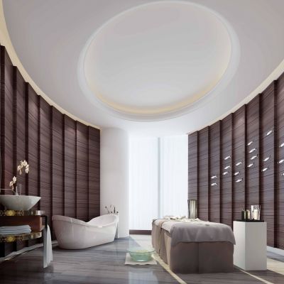 新中式美容spa会所