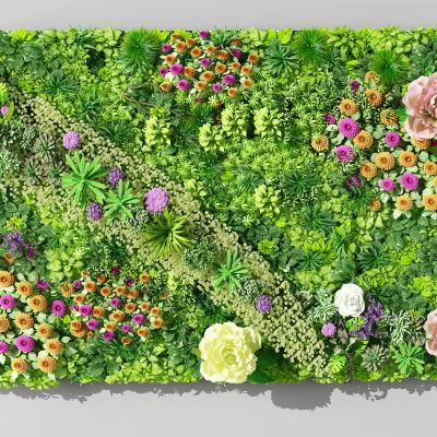 现代植物墙