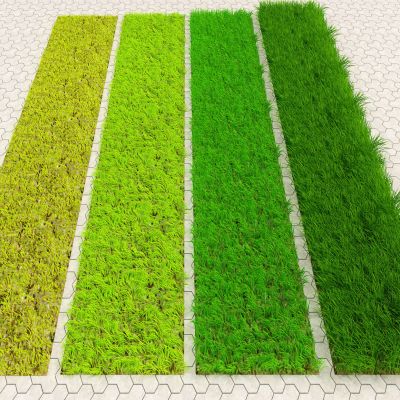 现代草坪3D模型