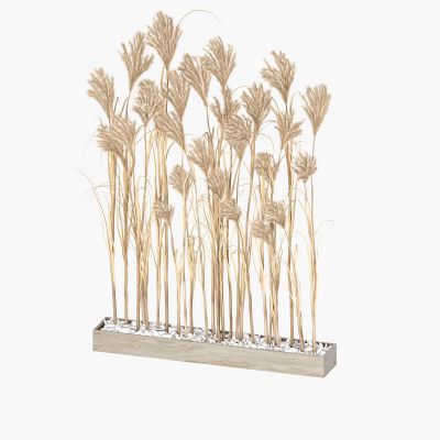现代芦苇干枝盆栽