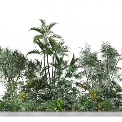 绿植  庭院  植物堆