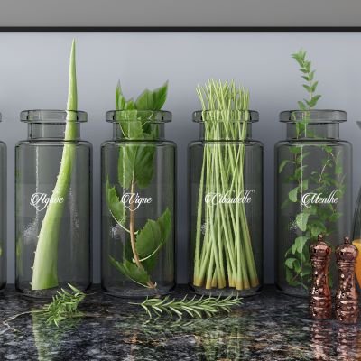 现代玻璃绿植植物芦荟桌面绿植玻璃花瓶